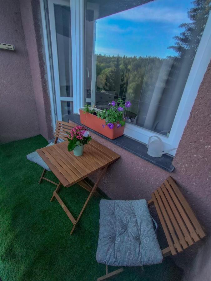 Apartmanek Protez Janske Lazne