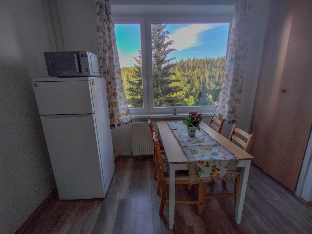 Apartmanek Protez Janske Lazne