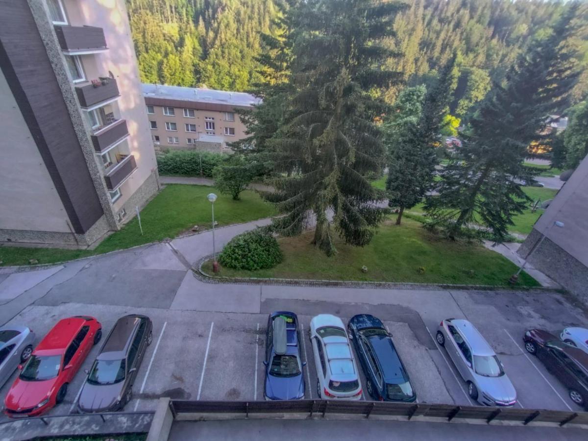 Apartmanek Protez Janske Lazne