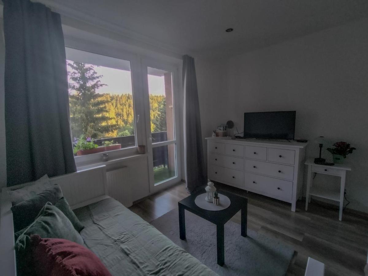 Apartmanek Protez Apartment Janske Lazne